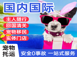 重庆机场货运国际宠物托运 【国
